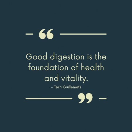 Good digestion is the foundation of health and vitality